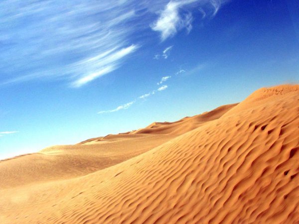 Приключения в Сахаре